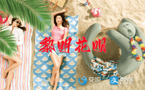 聪明绝顶花呗